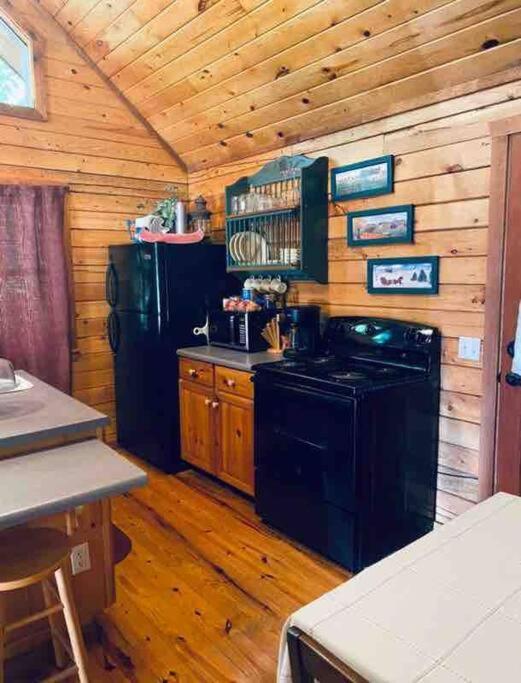 יוריקה ספרינגס The Loft At Bear Mountain Log Cabins מראה חיצוני תמונה